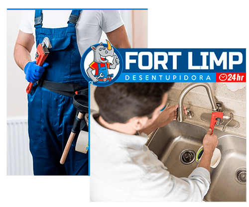 Empresa Fort Limp